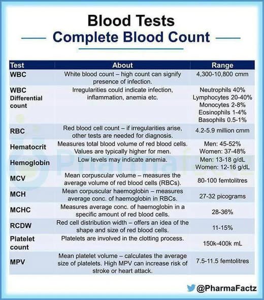  Understanding the Complete Blood Count (CBC) Test – A Vital Health Check!